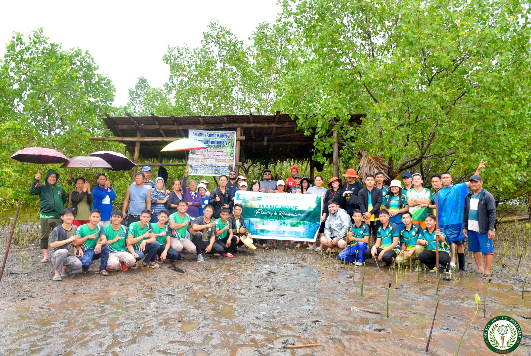 Mangrove Planting and Rehabilitation